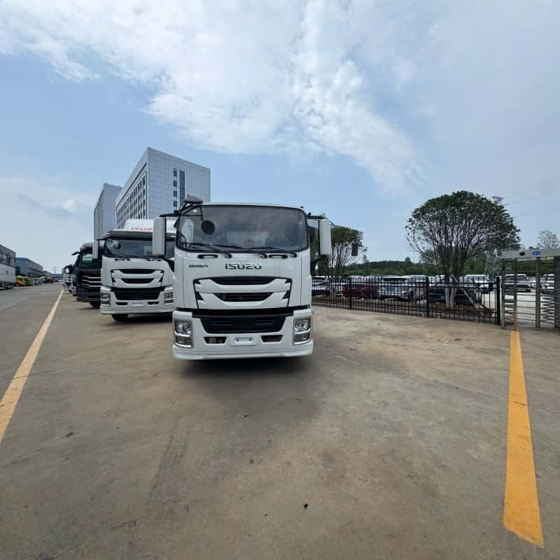 ISUZU GIGA 4x2 10 Ton Medium-Heavy Duty Dump Truck