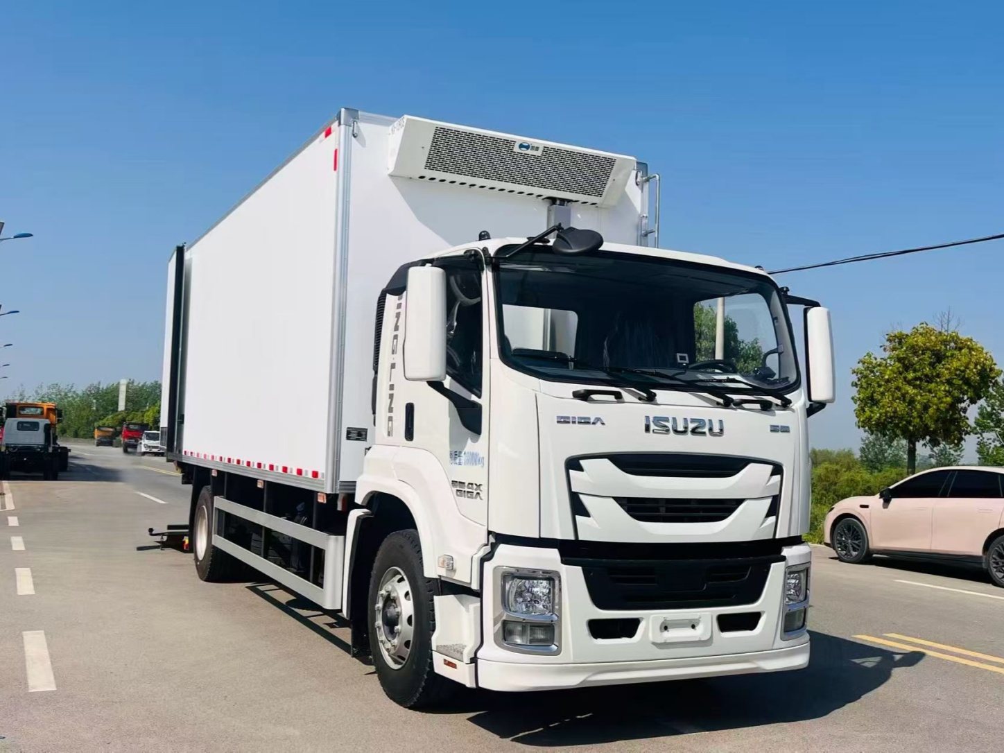 Cold Chain Truck
